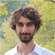 Studente di composizione al biennio del conservatorio offre lezioni di armonia, solfeggio, composizione e violino propedeutico